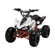 Motor VIAR ATV 100 SP / Motor Roda 4