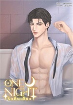 One Night รักคืนเดียว