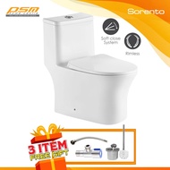 SORENTO One Piece Water Closet  Wash Down Flushing System Bathroom WC Toilet Bowl Package SRTWC8318-