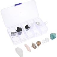 Alipis Rock Collection for Kids: 10 Piece Rock & Mineral with Collector Box - Stem Educational Geolo