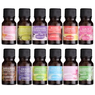 minyak Essential Oil diffuser / Oil diffuser / essential oil aromatherapy / oil aromatherapy / minya