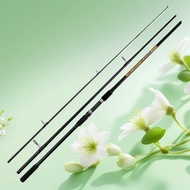 3.3m/3.6m/3.9m (11ft/12ft/13ft) Surf Iron Plate Rod High Carbon Fiber Rod  Shore Rod Surf Rod C.W 10