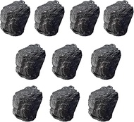 10PCS Raw Anthracite Coal Specimens - High-Carbon Fossil Fuel Rock for Collection & Educational Use