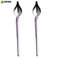 2 Pcs Stainless Steel Culinary  Drawing Deco Spoon Set, Sauce Drizzle Spoon Plate Decorating Spoon.c