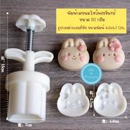 Mooncake Press Mold 2 Cherry Peach Rabbit Shape 50 G Size Make Desserts Cookies Pineapple Tarts.
