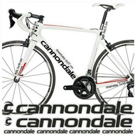 Cutting Sticker Fixie Bike Cannondale Sticker Road Bike MTB