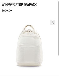 The north face backpack