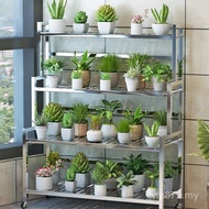 Place Succulents Flowerpot Rack Household Floor-standing Balcony Ladder Display Stainless Steel Shel