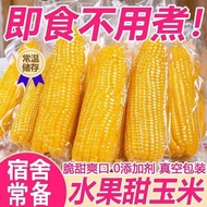 Fruit Corn Open Bag Instant Sweet Corn Vacuum Packaging Boil-Free Pop Juice Sweet Corn Pop Corn Bud 