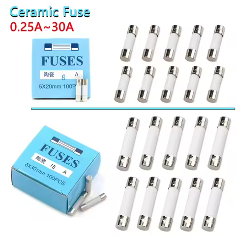 10pcs 5*20mm 6*30mm Fast Blow Tube Fuses 250V 0.5A 1A 2A 3A 4A 5A 6A 6.3A 8A 10A 15A 20A 25A 30A AMP