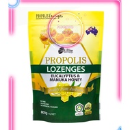 Propolis Lozenges with Eucalyptus&Manuka Honey 800g