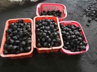 Jual Briket Batu Bara Asli Harga Rp 30.000 perkilo