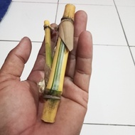 koleksi bambu petuk Pring kuning (asli alami)