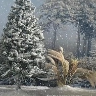 Christmas Scene Snow Scene Window Display Scene Snowflake Powder Fake Snow Artificial Snow Dry Snow 