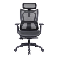 Ergoworks – Premium Best Ergonomic Office Chair | Truly Perfect Chair_ Ew-g881_ Black Frame/grey Mesh Seat/nylon Base With Pu Castor
