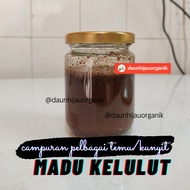 Madu Kelulut campur temu/kunyit hitam/ kunyit putih