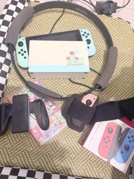 Nintendo Switch 動物森友會特別版