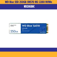 Wd Blue SSD 250GB WDS250G3B0C SD570 M2 - genuine product
