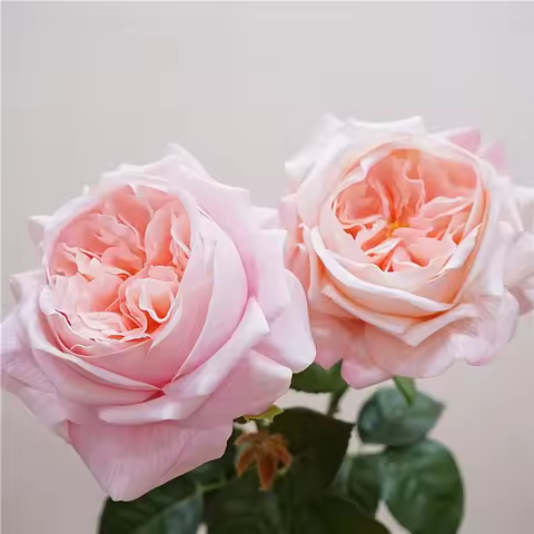 Real Touch Artificial Flowers Green Plant Austin Juliet Roses Brahch Home Bedroom Decoration Simulat