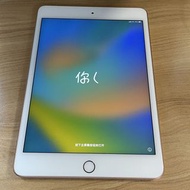 iPad mini 5（第 5 代）Wi-Fi + 蜂窩網絡 256GB Gold