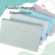 Toddler Memory Foam Pillow Noah's Ark Ph