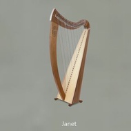 特惠價代購法國豎琴 Camac Lever Harp 一手豎琴 二手豎琴 40 弦豎琴 40 strings (Janet)