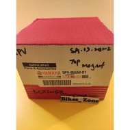 RXZ 5PV /CATALYZED MAGNETO