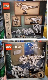 Lego ideas  21320