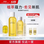 XIGE massage oil✨正品保证✨皙阁红木籽精油按摩油刮痧油 提拉紧致淡化细纹 按摩精油刮痧精油臉部按摩精油脸部按摩精油按摩头按摩脚按摩手 Aromatherapy Oil Essentia