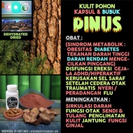 Dehydrated Dried Capsules & Powder Pine Tree Skin Tusam Medicine for Hyperactive Impotence ADHD Nerv