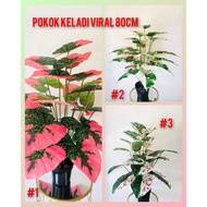 Hot sale ✱READY STOCK 80cm Pokok Viral  Pokok Monstera  Pokok Keladi  Artificial Plants  Pokok Hiasan  Pokok Palsu❂