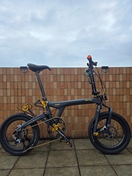 BIRDY P40 限量版NOT(BIRDY3 ,BIRDY R20, BROMPTON  , BIRDY GT