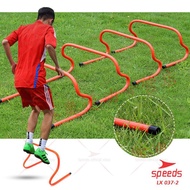 Hurdle 1 set of 5, 30cm high, hurdle for descrusting training equipment