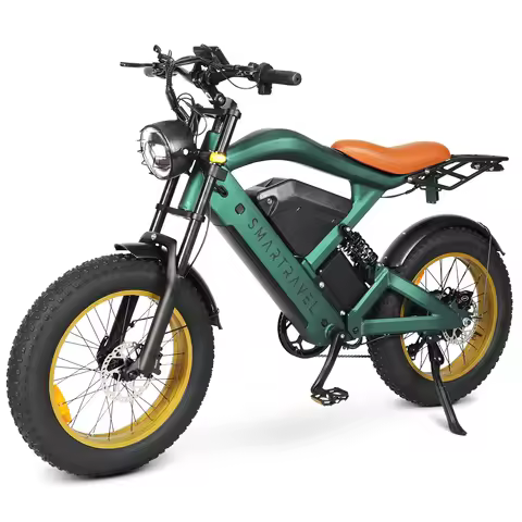 250W Electric Bicycle Dirt Bikes V20 Cheap Steel Mountain Fat Tire Ebike for Adults for Outdoor Usag