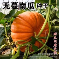 Wuman Pumpkin Seed Sweet Noodle Pumpkin Chestnut Flavor Powder Glutinous Sweet Chestnut Pumpkin Seed