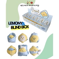 ••/•• Secondmorning blind box Random