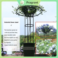 Assembling Umbrella shaped Flower Frame Climbing Vine Frame Rose Plant Flower Support Pole Horticult
