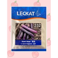 Repacking biji benih terung panjang ungu LECKAT 332 F1 HYBRID.
