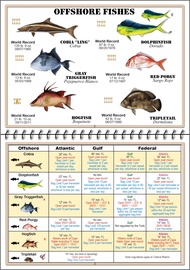Florida Saltwater Fish Identification Book with FWC Rules, Regulations, Limits, and Sizes with 90+ M