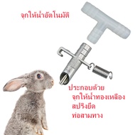 ซื้อ10แถม1 ที่ให้น้ำหนู ที่ให้น้ำกระต่าย ที่ให้น้ำอัตโนมัต จุกให้น้ำอัตโนมัติ จุกให้น้ำหนูนา ให้น้ำส