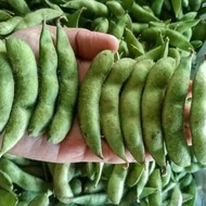 kacang edamame/kedelai edamame fresh