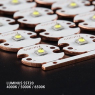 luminus SST20 2700K 4000K 5000K 6500K LED on 16mm / 20mm DTP copper board Flashlight led