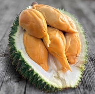 Durian Superman D13 Red Prawn Durian - Fresh (Dehusked)