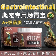 Climb Pets Stomach Conditioning Gecko Lizards Refuse Food Stretch Dilution Food Non-Digestive Probio