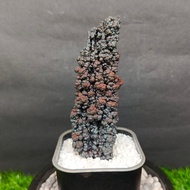 Silver Pillar Leklai 银色柱子力泥 Leklai Goethite 100% Natural Leklai