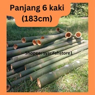 Buluh Bulat Belum Dibelah 6 kaki(183cm)/Buluh Wau/Bamboo Decoration/Bamboo Stick/Buluh Pancang Tanam