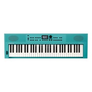 Roland GO:KEYS 3 61-Key Touch-Sensitive Portable Keyboard With Adapter (GO KEYS 3)