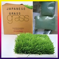 JAPANESE GRASS SEED | Fast Growth | Lawn & Golf Ready | 50g - 1kg