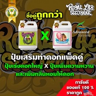 ปุ๋ยเสริมช่วงทำดอก 2 สูตร Big Bud ปุ๋ยเร่งดอกใหญ่ และ Bud Candy ปุ๋ยเพิ่มความหวานและกลิ่นให้ดอกแพ็คคู่