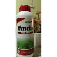 RACUN PADI ANGIN THAI 1LITER